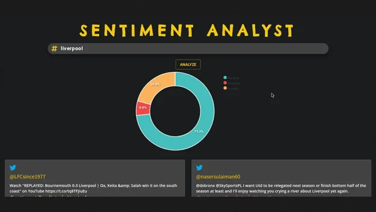 Sentiment Analyser